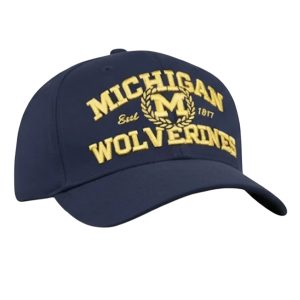 2025 Dave Portnoy Michigan Wolverines Baseball Hat