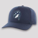 Wilson Warbirds Mascot 2026 Hat