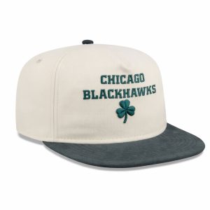 2026 Chicago Blackhawks Patrick’s Day Metallic Hat 1